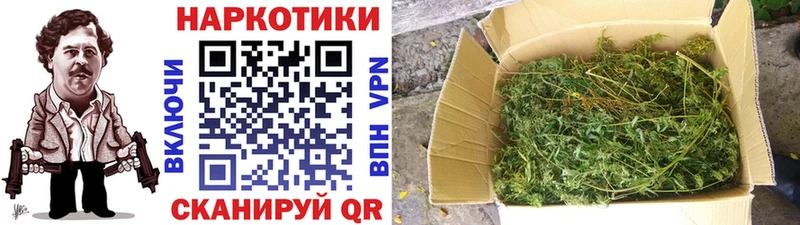 ГАШ Зуевка