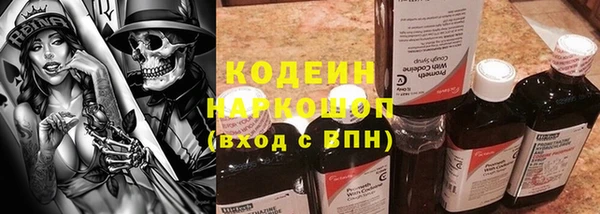 индика Новый Уренгой