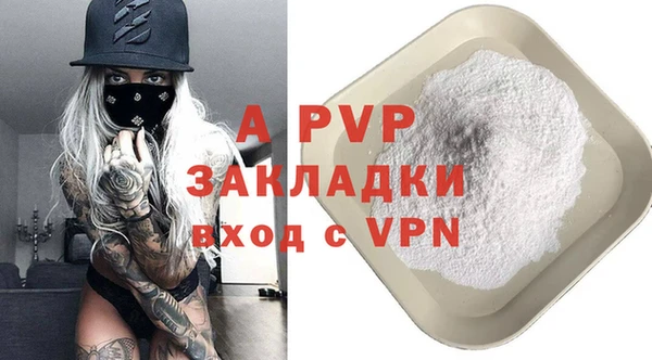 индика Новый Уренгой