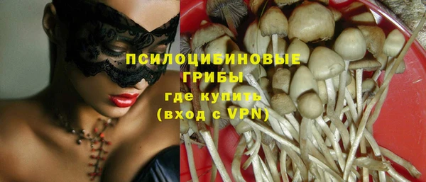 прущая мука Лабытнанги