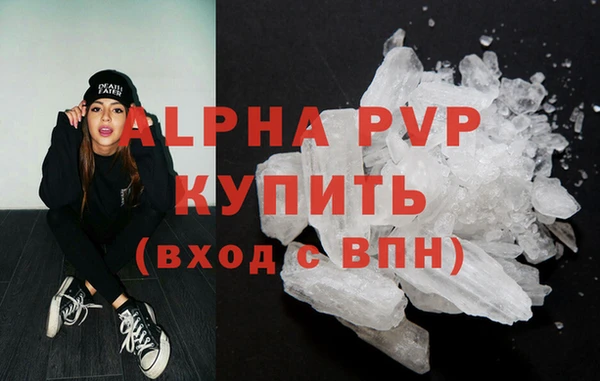 индика Новый Уренгой