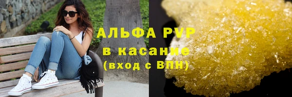 хмурый Ладушкин